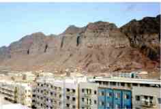 ���� ������ ��� ��� ����